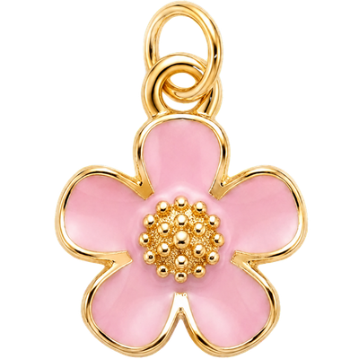 Pink Blossom Flower