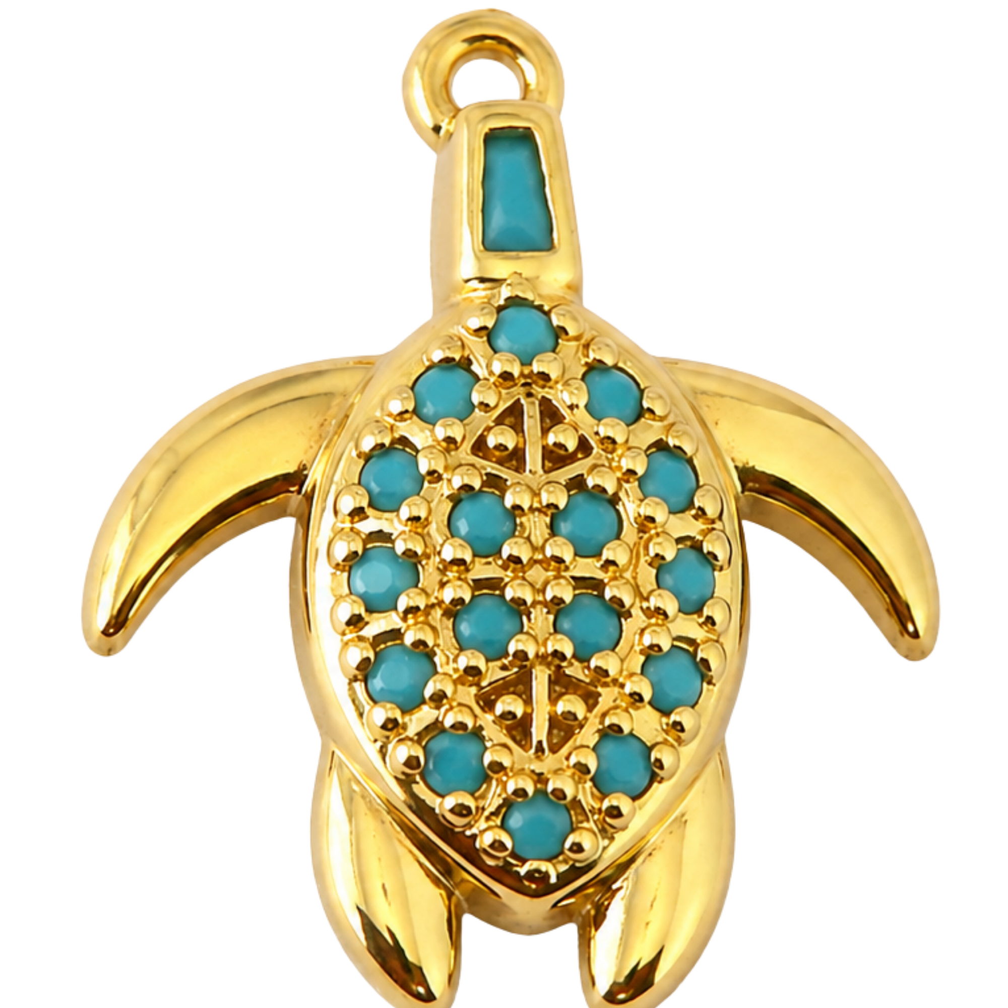 Sea Turtle