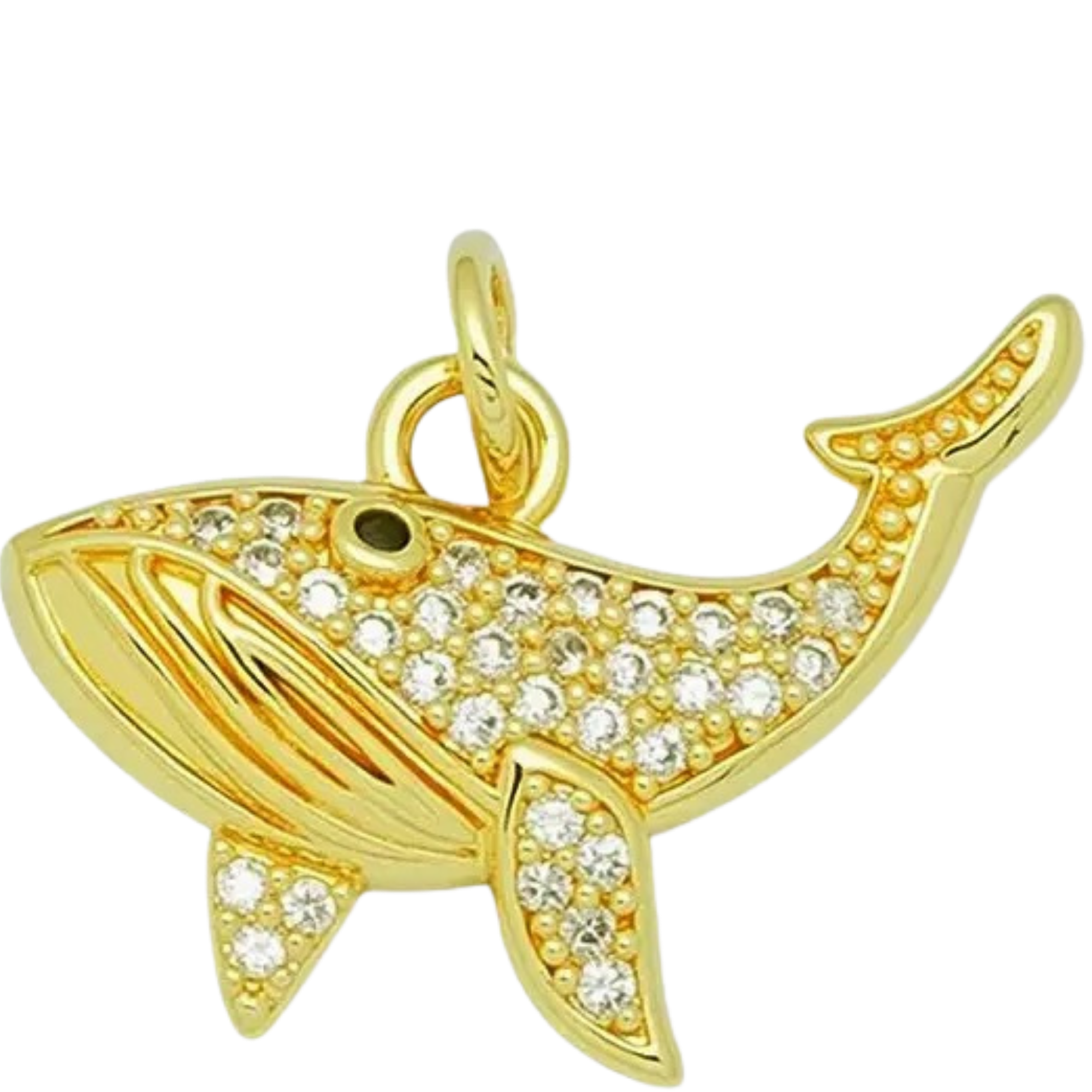 Whale