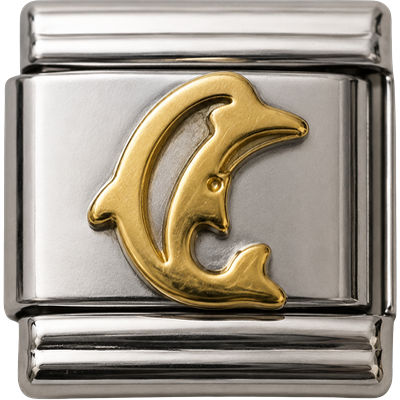 Dolphin Silver