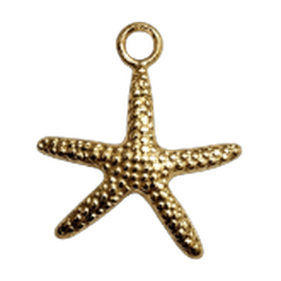 Large Golden Starfish Charm