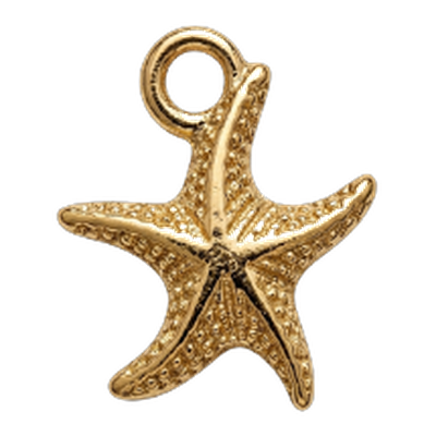Medium Golden Starfish Charm