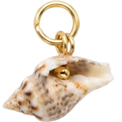 Natural Shell Gold