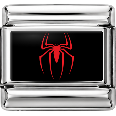 Silver Spider Emblem Charm